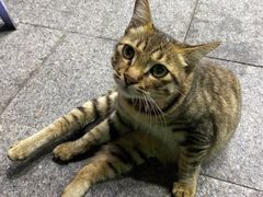 -官塘陈记鱼生·潮汕砂锅粥·牛肉火锅(潮枫路总店)