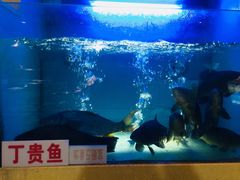 -楚鱼王·河鲜·湖北菜(华农店)