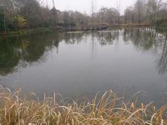 溱湖国家湿地公园01-溱湖国家湿地公园