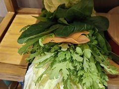 营养蔬菜拼盘-阳坊胜利涮羊肉(阳坊老店)
