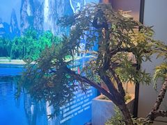 -聆桂烤鸭·金奖烤鸭(静联广场店)