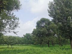 -承德避暑山庄景区