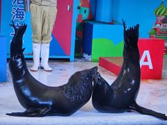 -成都浩海立方海洋公园