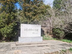 -白水寺森林公园