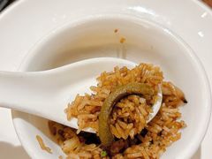 手撕黄鳝煲仔饭-蛇口希尔顿南海酒店·随轩中餐厅·粤菜