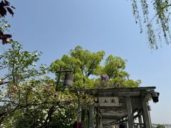 -西湖外事游船(花港观鱼码头)