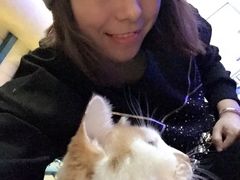 -Sirena海妖日咖夜酒