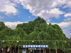 -云南民族村