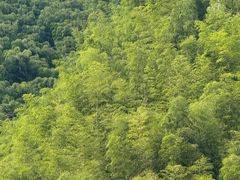 -将军关探险漂流