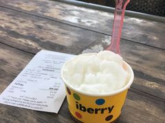 -莓园冰淇淋店