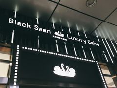 -BLACKSWAN黑天鹅(环球店)