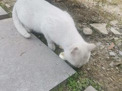 -东华大学(松江校区)