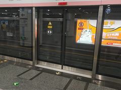 -大望路(地铁站)