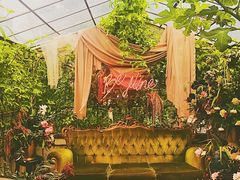 -The Grounds of Alexandria