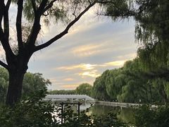 -北陵公园