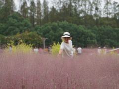 -嘉北郊野公园