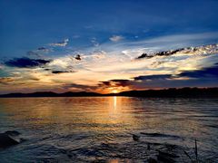 -上海市保健医疗中心