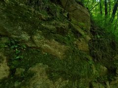 -牛背梁国家森林公园