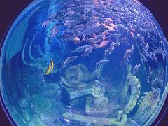 -珠海长隆海洋王国
