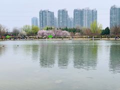 -太阳宫公园