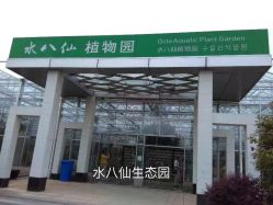-水八仙生态园