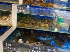 水产区-常家活海鲜小吃(仅一家无分店)