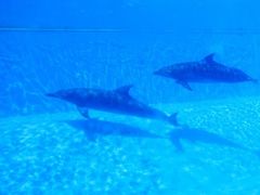 -横琴湾水世界