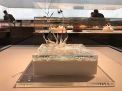 -BLACKSWAN黑天鹅(环球店)