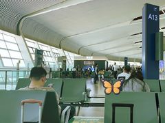 -合肥新桥国际机场-航站楼