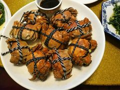 -呼吸森林·生态农庄农家乐私房菜