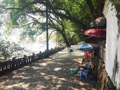 -江心屿景区