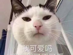 -周鱼小馆石锅酸菜鱼(活力汇店)