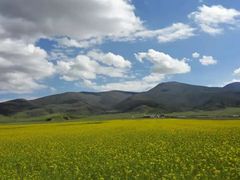 -青海湖国家重点风景名胜区