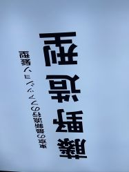 -藤野造型专业烫染接发