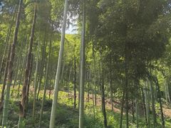 -山沟沟景区