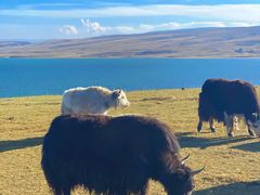 -青海湖国家重点风景名胜区