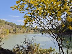 -广州白江湖森林公园