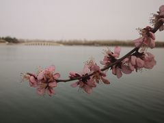 -颐和园