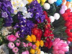-双季花艺园艺市场(浦东店)
