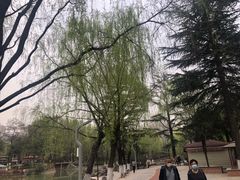 -西安市长乐公园