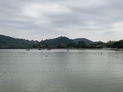 -顺峰山公园