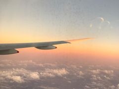 -新加坡航空公司(ION)