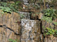 -广州市流溪河国家森林公园