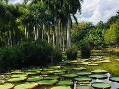 -中国科学院西双版纳热带植物园