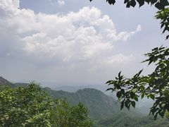 -大岭沟猕猴桃谷风景区