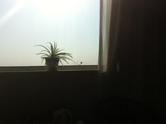 屋花(⌒-⌒;&nbsp;)-金隅凤山酒店