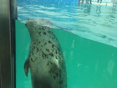 -北戴河圣蓝海洋公园