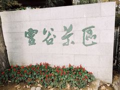 -灵谷景区