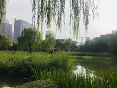 -木塔寺遗址生态公园
