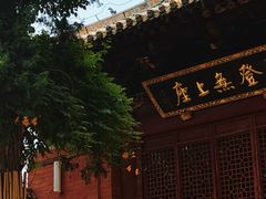 -洛阳白马寺